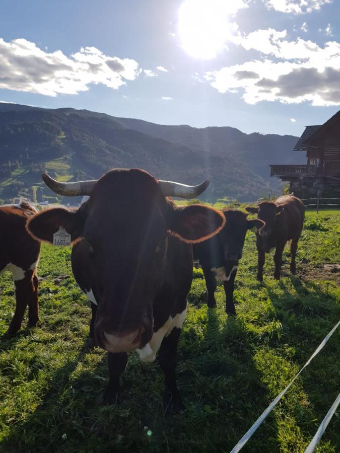 Huettenferien Koeberlhof Sankt Georgen ob Murau Exterior photo
